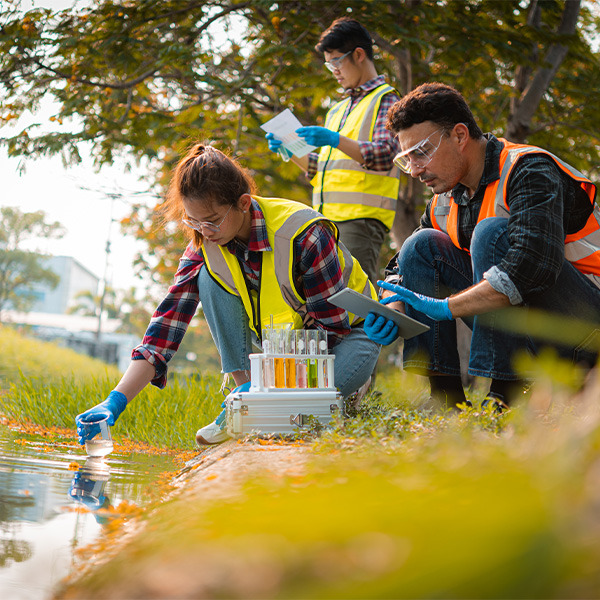 Licence professionnelle Génie écologique