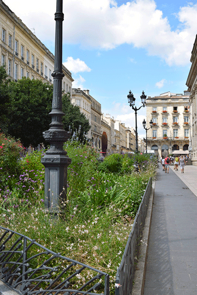 Bordeaux