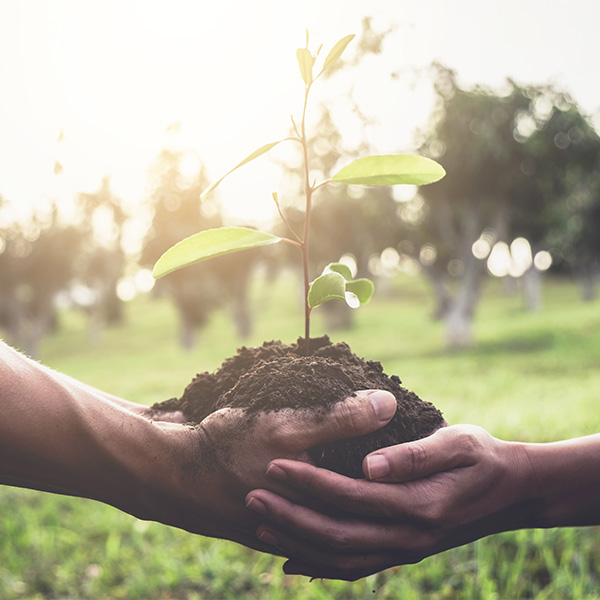 L'école de la transition écologique
